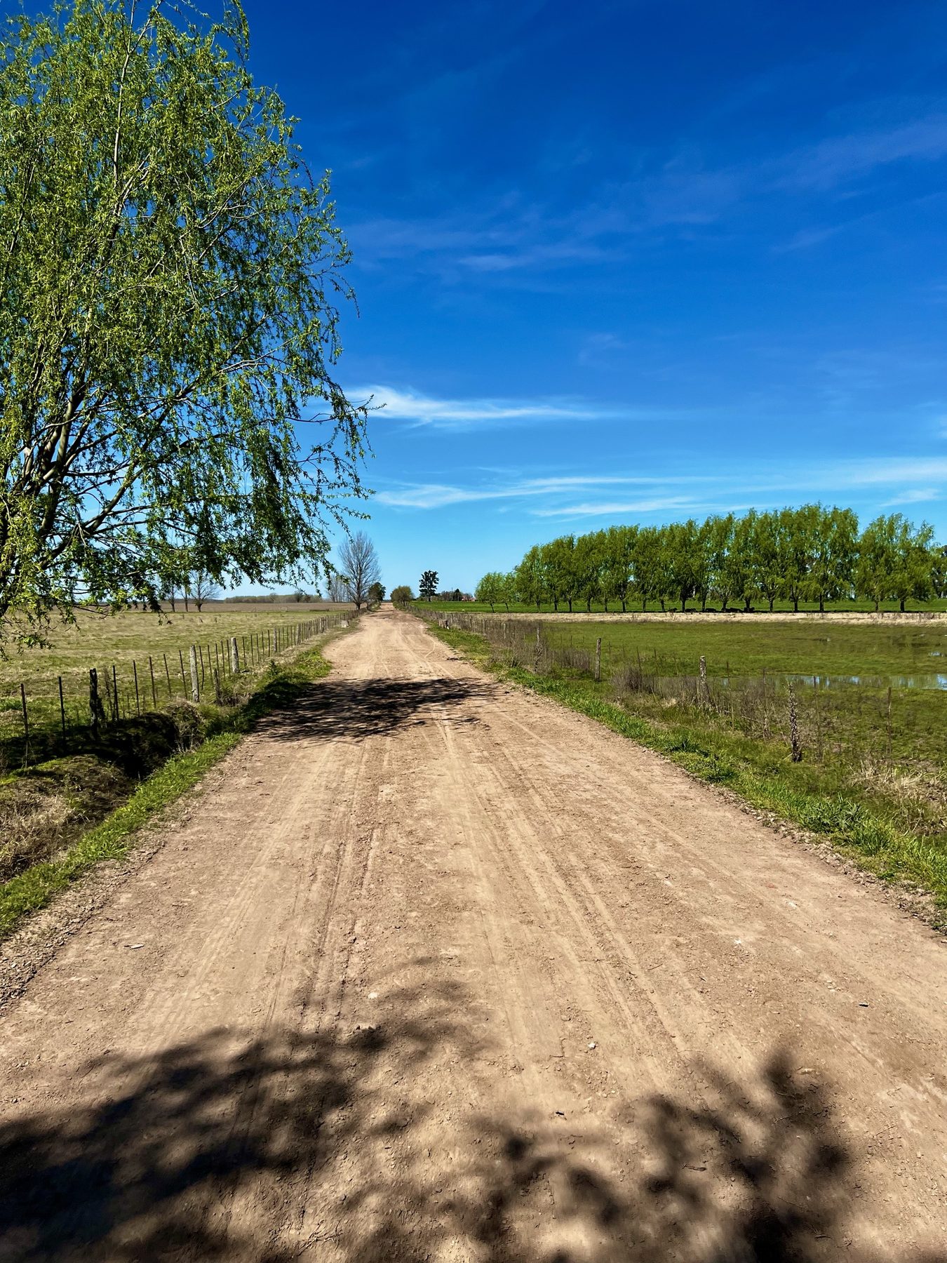 Route ouverte en Uruguay sous un grand ciel bleu