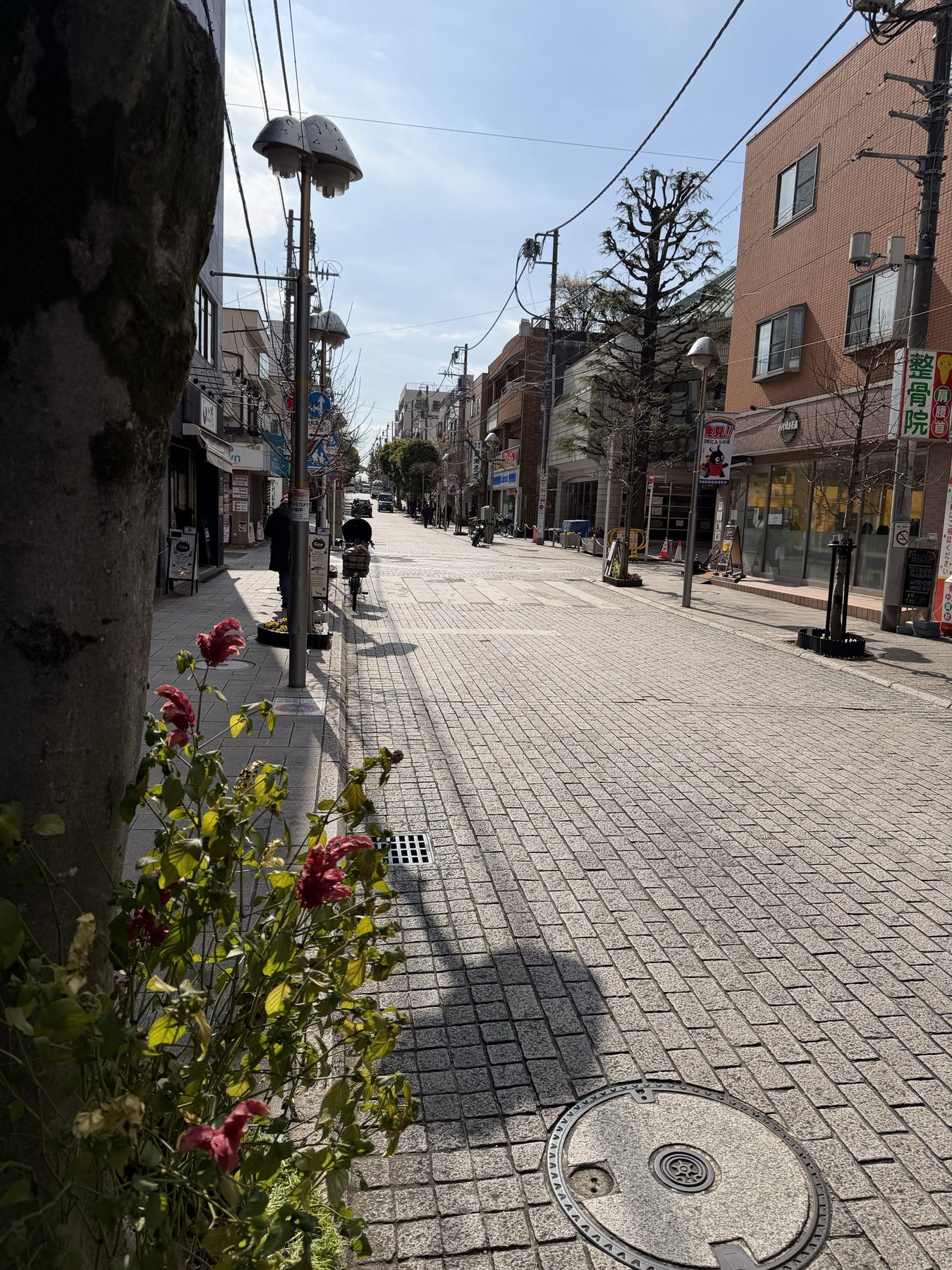 Rue résidentielle calme au Japon