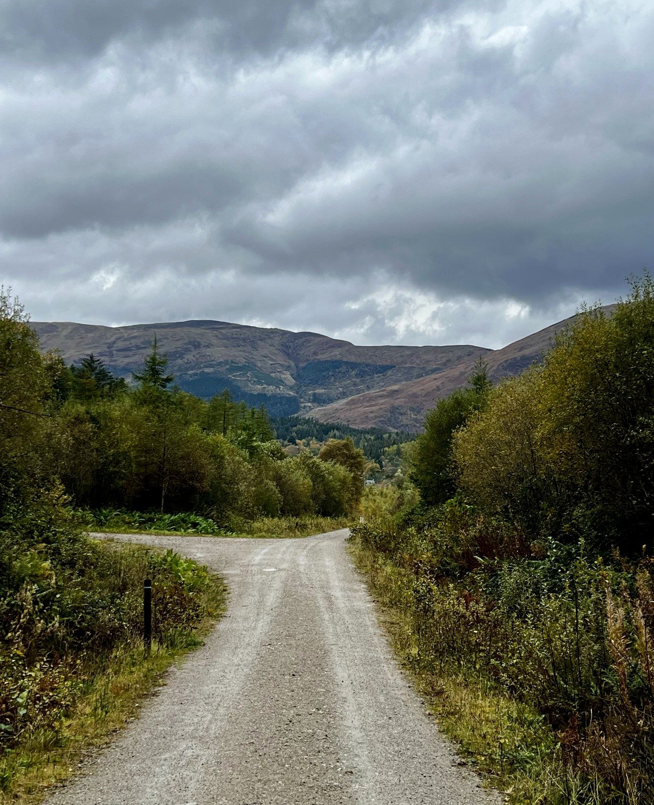 Route calme entre arbres et montagnes en Écosse