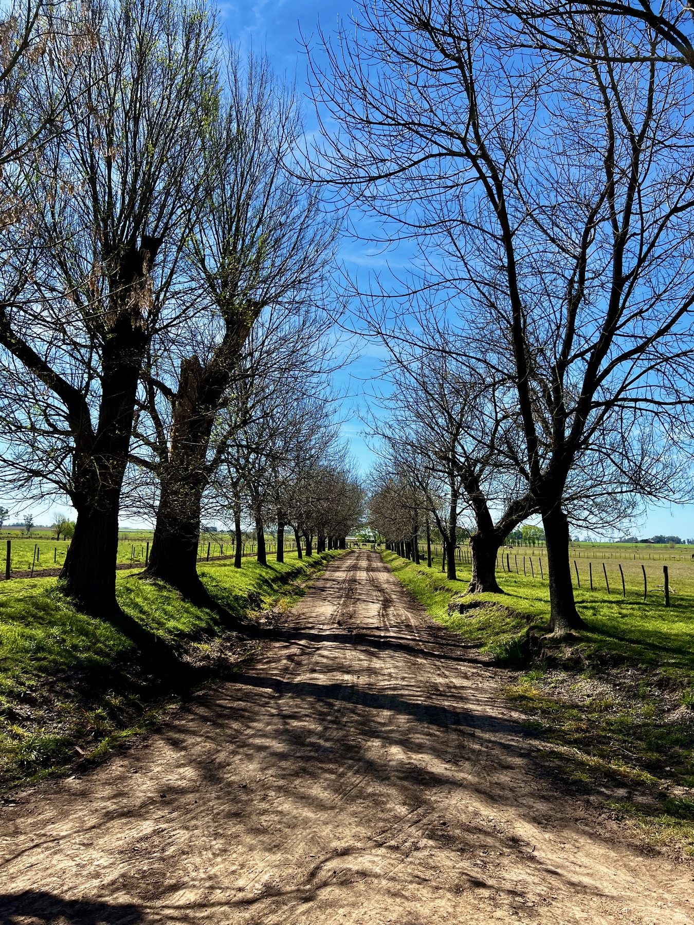 Chemin de campagne illustrant une approche intérieure du voyage