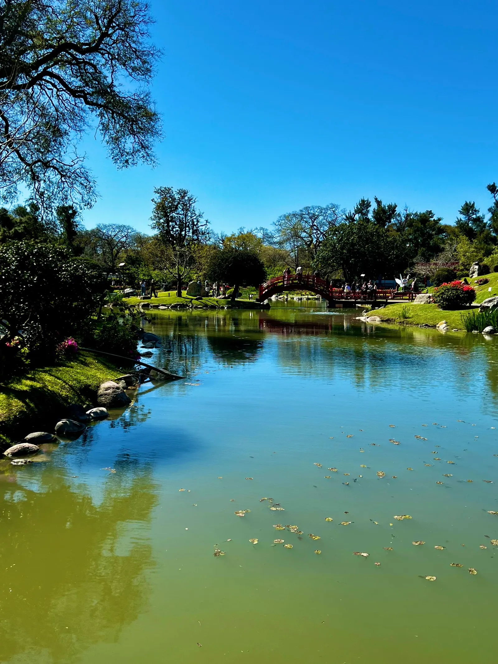 Un plan d’eau bordé d’arbres en Uruguay